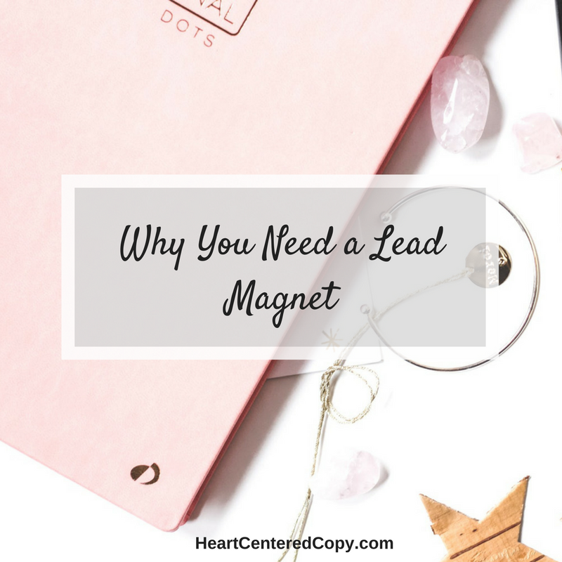 Why Do You Need a Lead Magnet?